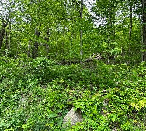 5th image of Highlands Parkway Mouth