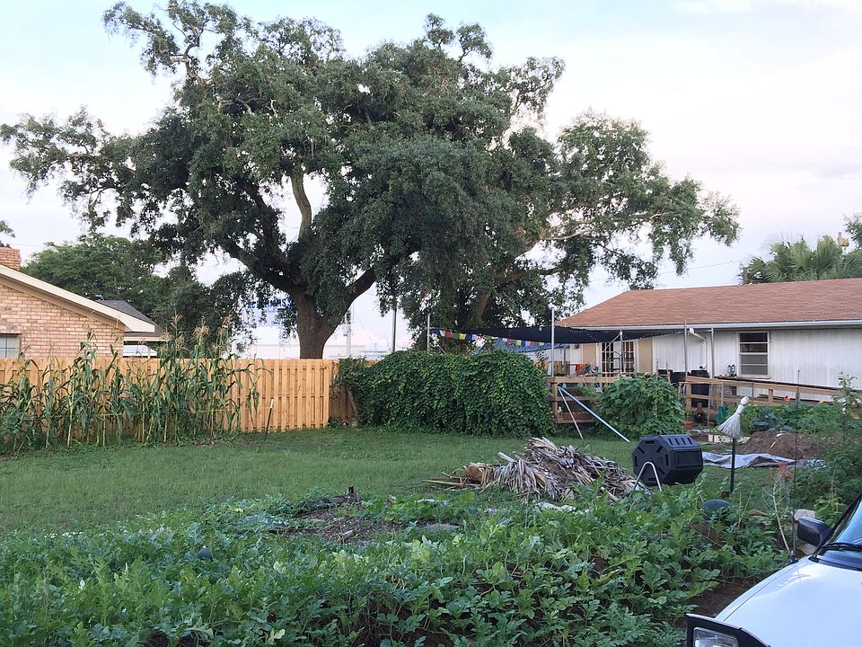 Front yard.