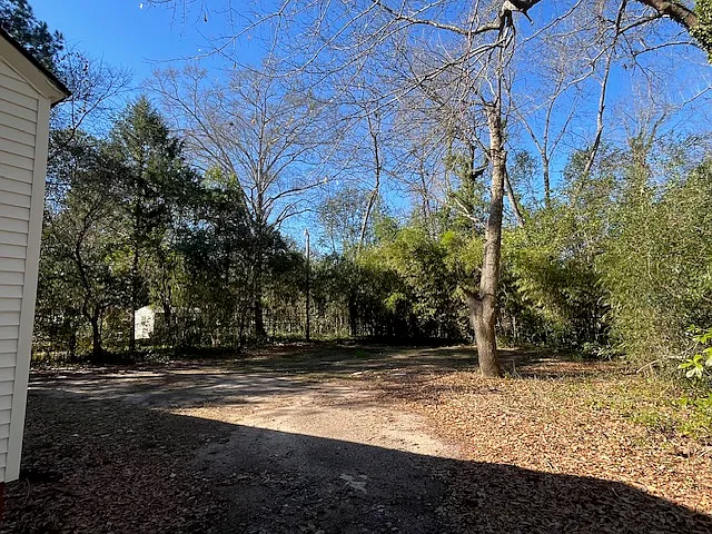 407 Forrest Dr — Photo 6
