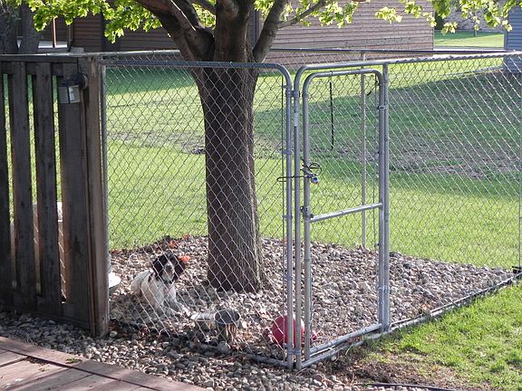 Dog Kennel