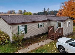 11329 Anderson Rd, Bear Lake, MI 49614