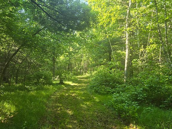 3rd image of County Road 13
