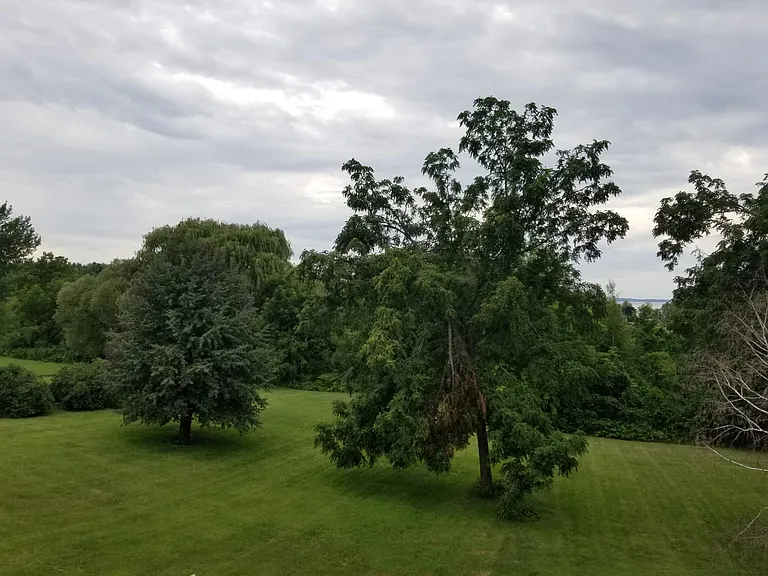 Spacious back yard