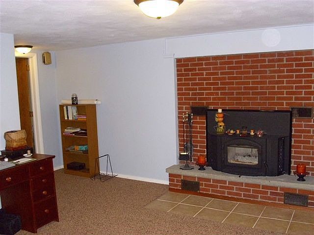 Lower level fireplace with insert