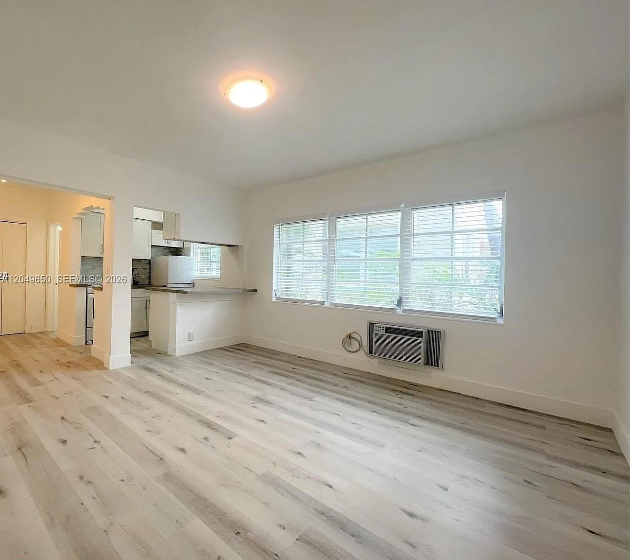 El Vicentin Condo — Photo 3