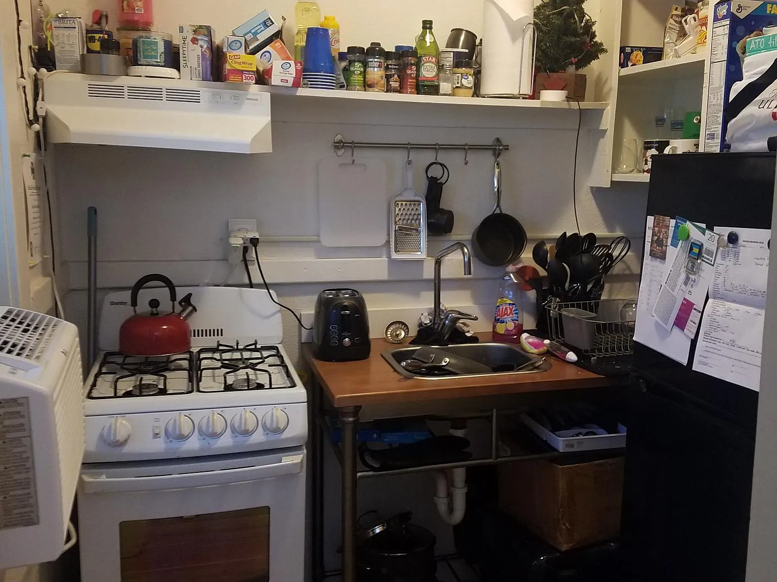 Studio, 270 sqft, $840 — Photo 4
