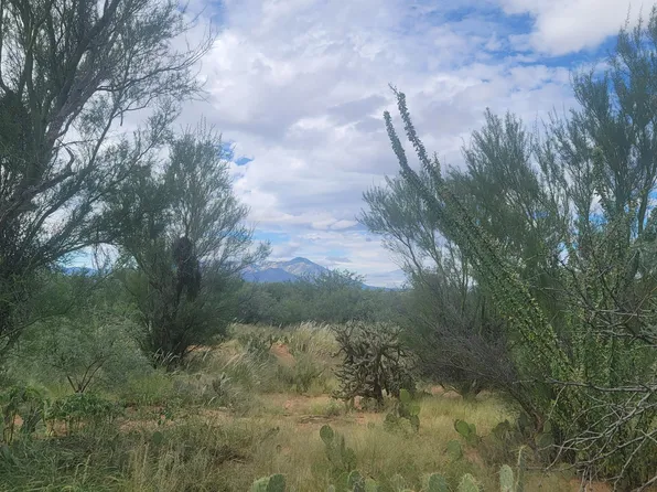 16072 W Ridgemoor Ave #86, Tucson, AZ 85736