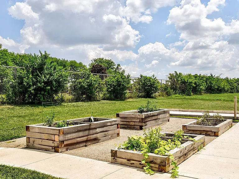 Community garden