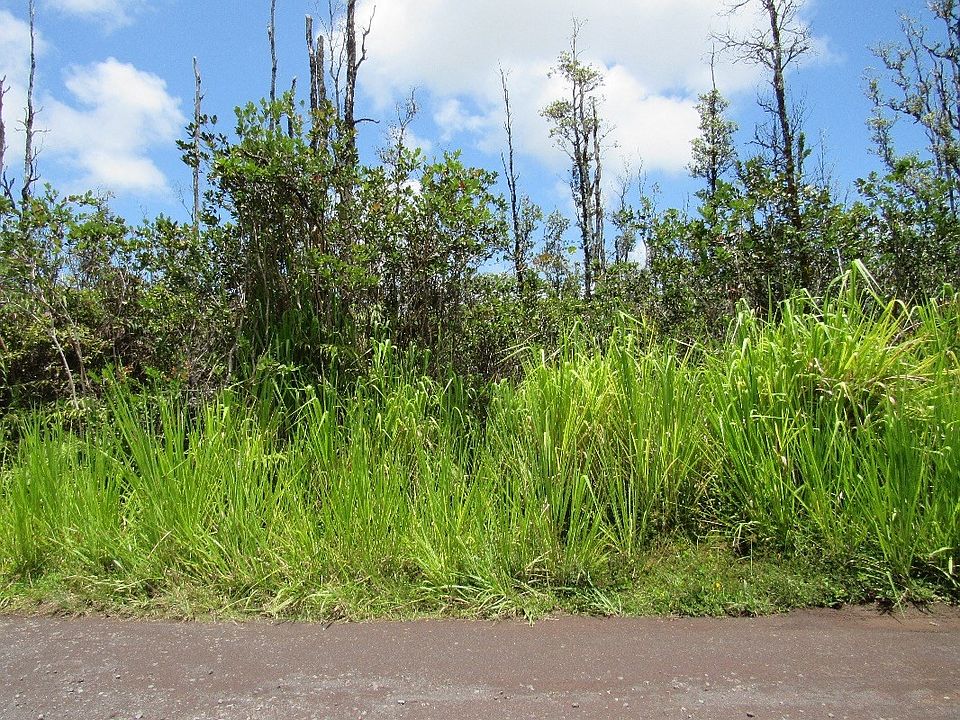 1st image of 36th Ave Lot 65