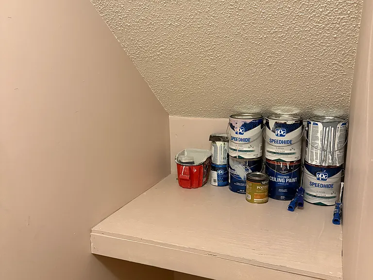 Downstairs closet