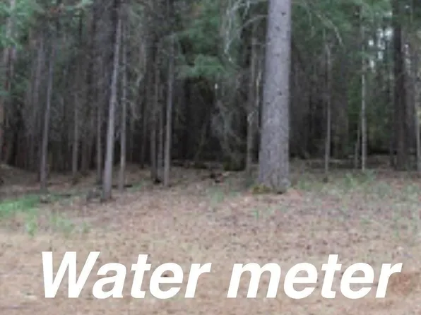 5511 Shooting Star Rd, Pollock Pines, CA 95726