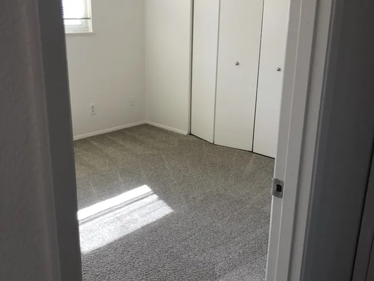 Bedroom and Closet