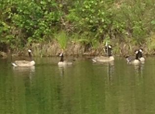 1835 Cohage Rd, Sandpoint, ID 83864