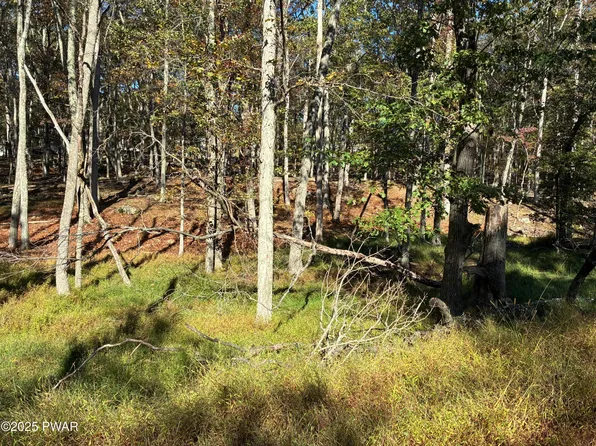 Beaver Run Rd, Milford, PA 18337