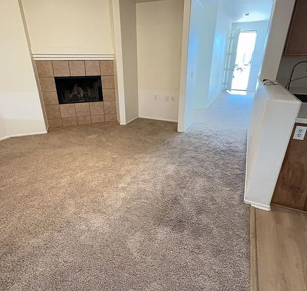11584 Fern Pine St — Photo 15