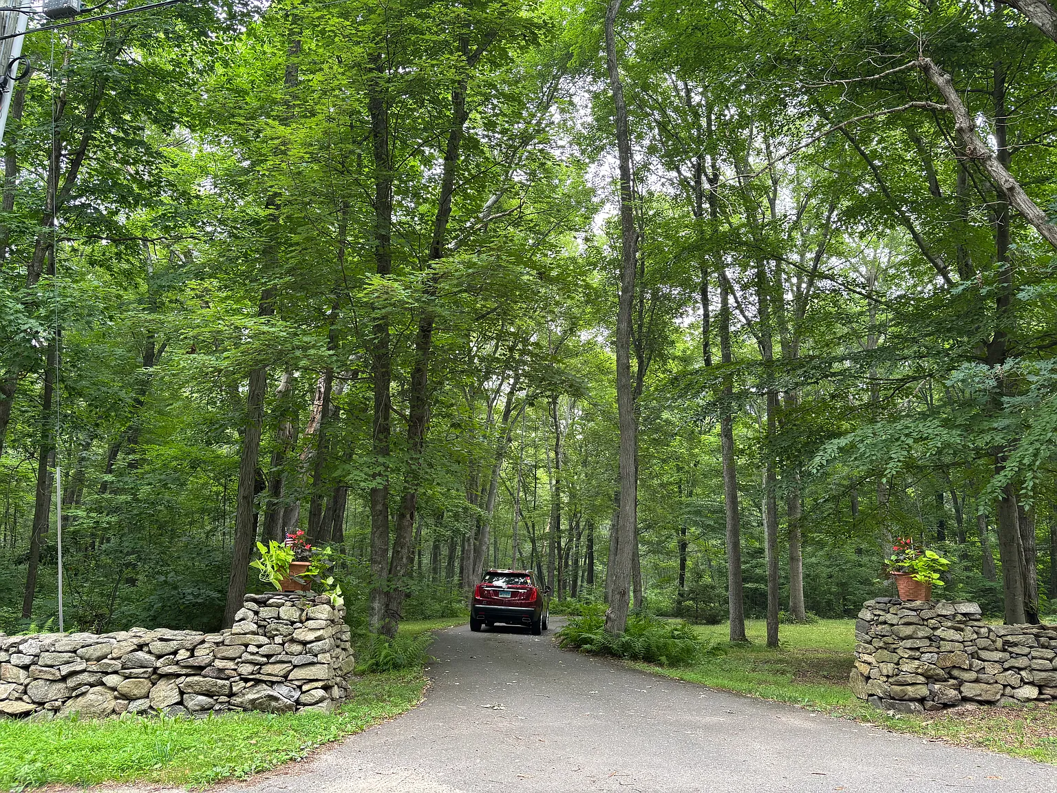58 Rowley Road — Photo 3
