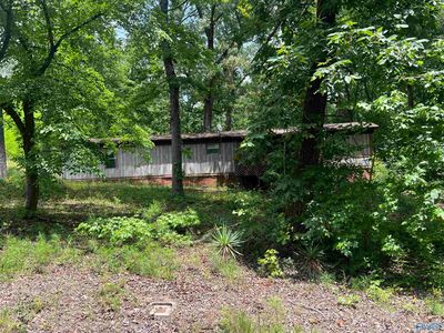 1790 Forest Green Cir, Southside, AL, 35907