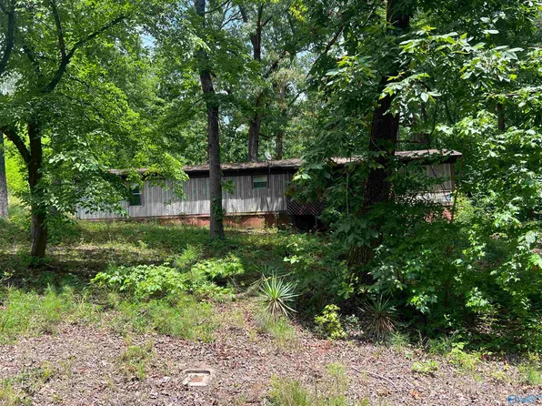 1790 Forest Green Cir, Southside, AL 35907