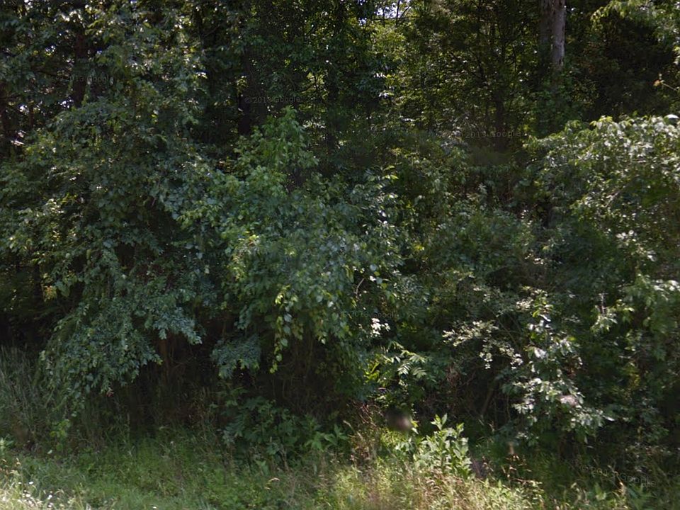 2nd image of 0 Thornton Royster Rd