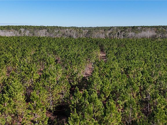 5th image of Owens Rd