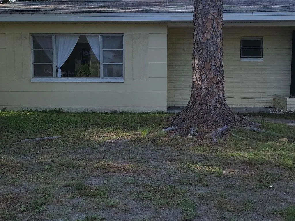 2 bed, 1.0 bath, 800 sqft, $2,000 — Photo 2