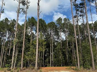 11362 Annie Creek Dr, Willis, TX 77378