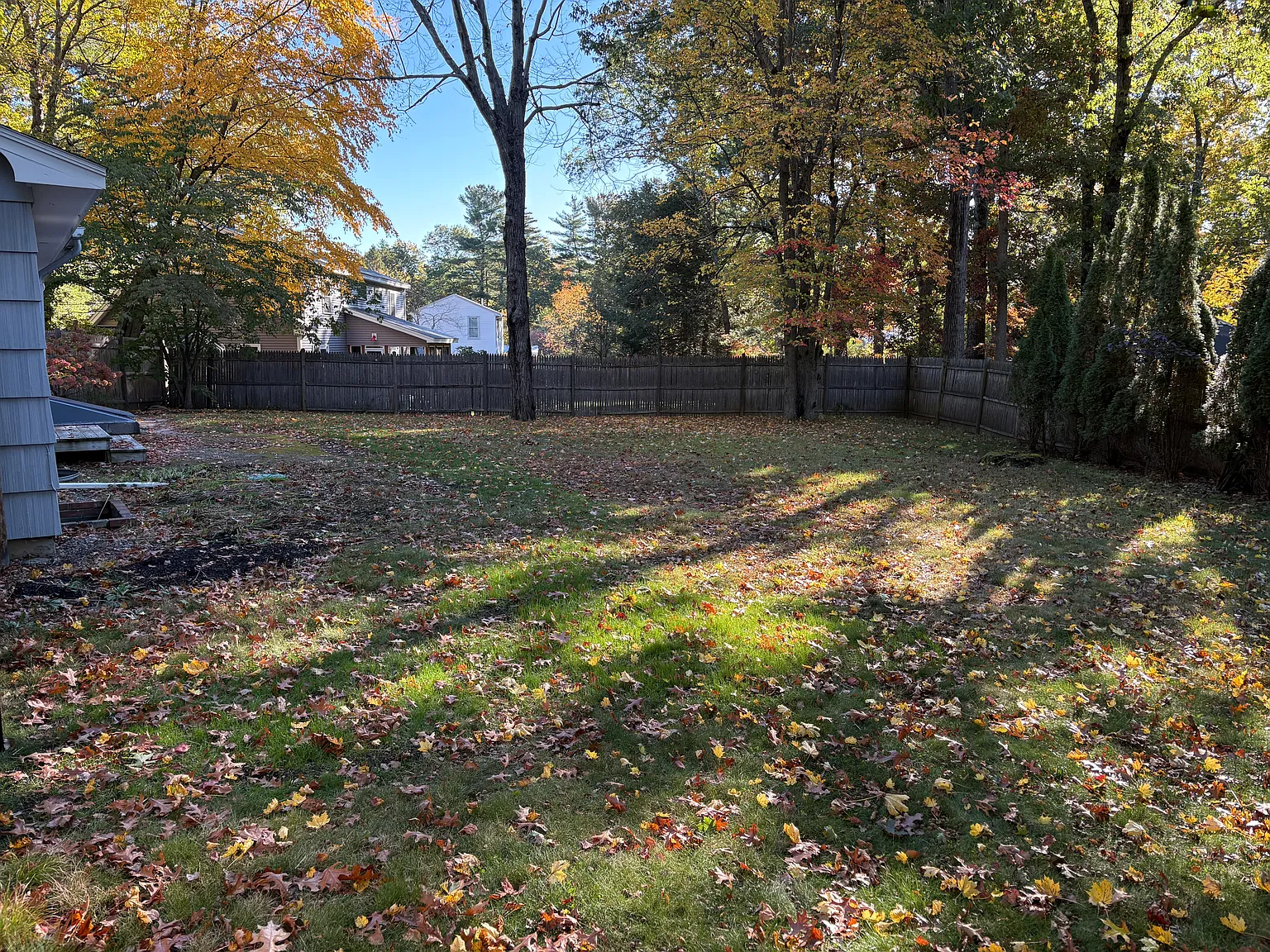 3 bed, 1089 sqft, $3,300 — Photo 4