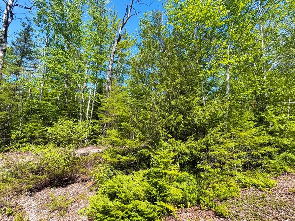 LOT 25 Northland Heights Dr, Presque Isle, MI 49777