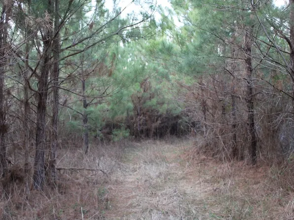 Highway 583 Lot Wp001, Jayess, MS 39641