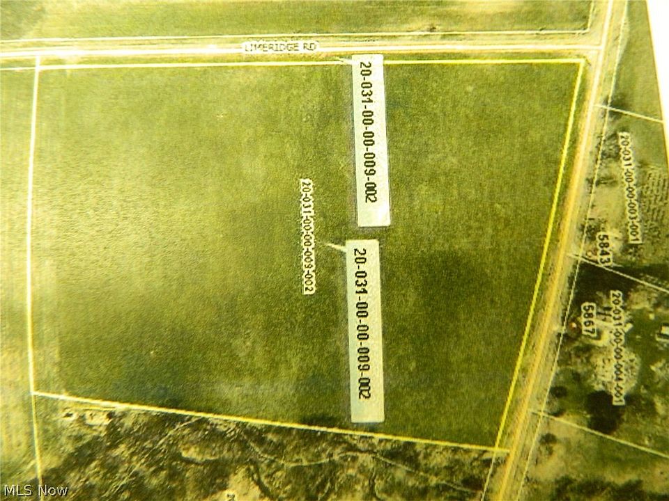 2nd image of Pioneer Trl