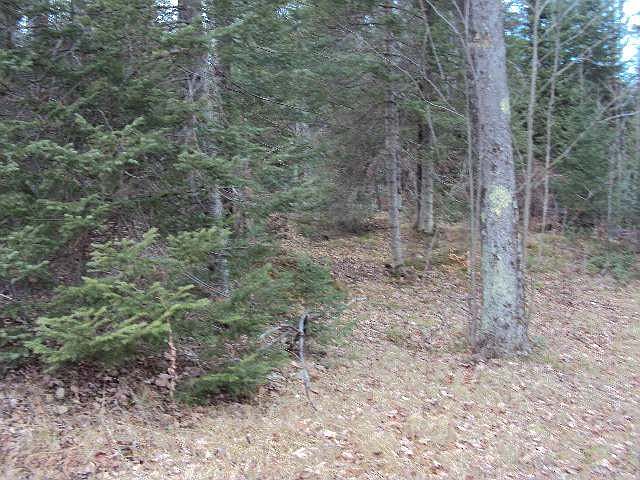 1st image of LOT 2 Munger Lake Ln