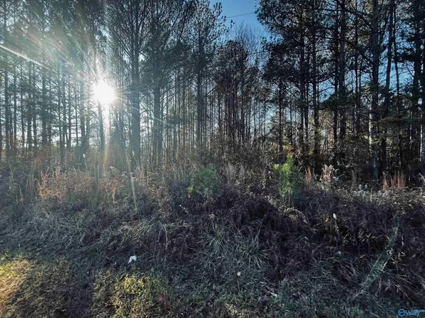115 County Road 49, Cedar Bluff, AL 35959