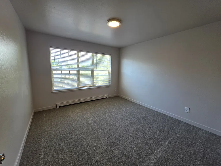 2984 Emerald Cir — Photo 9
