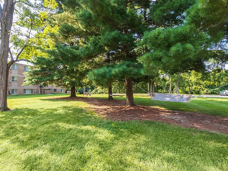 Red Bank Reserve — Photo 24