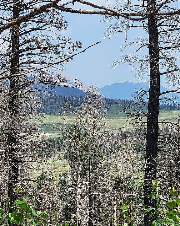 1st image of 2019 Strauss Forbes Park