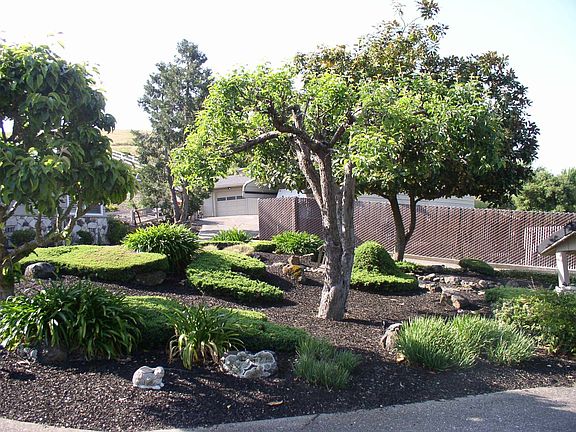 Get Lost in Your Own Backyard