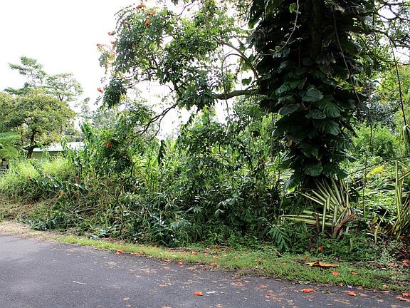 4th image of Lauhala Dr Lot 4