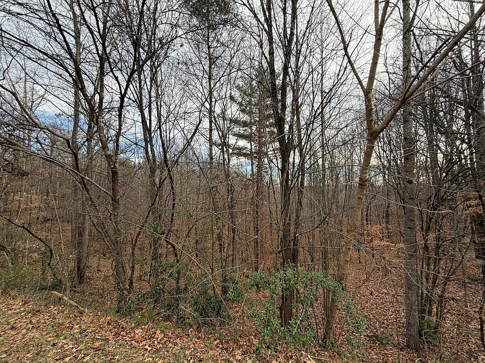 2nd image of 16 Bassett Heights Rd