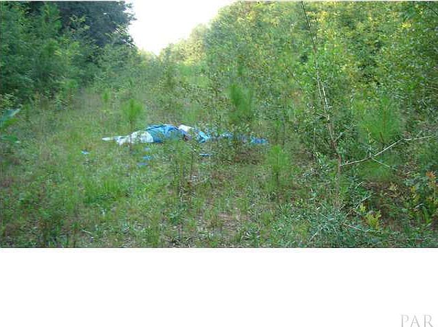 2nd image of 8615 Untreiner Ave