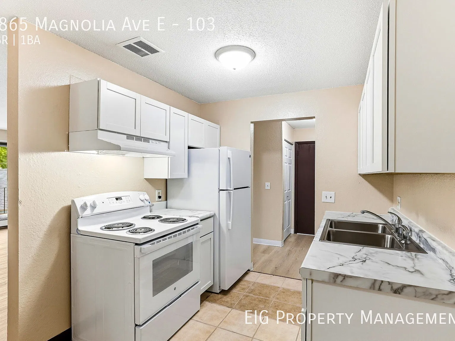 Magnolia — Photo 3
