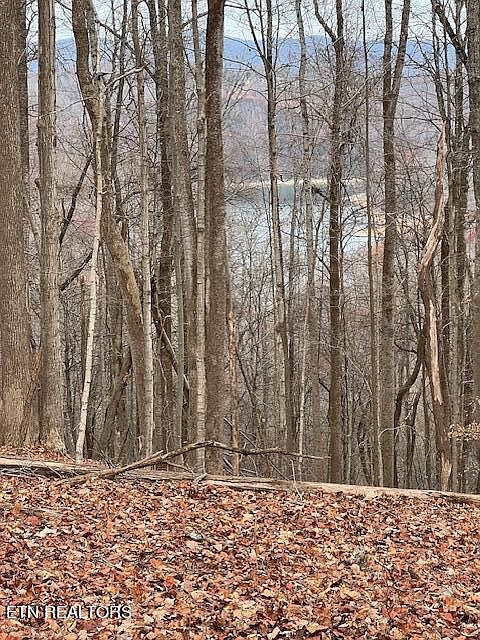 1st image of Running Deer Trl