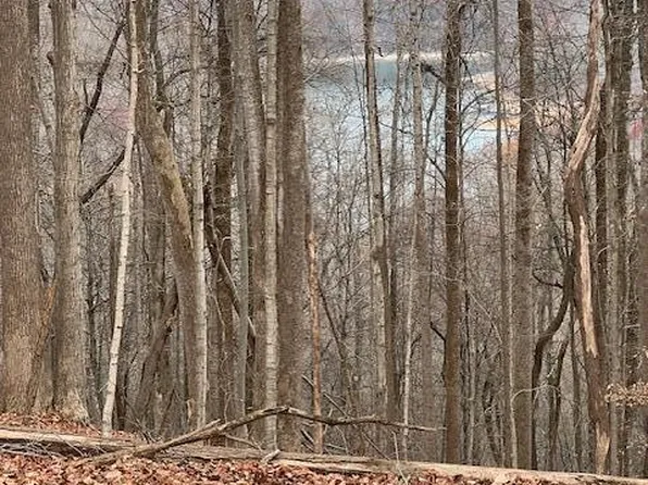 Running Deer Trl, Caryville, TN 37714