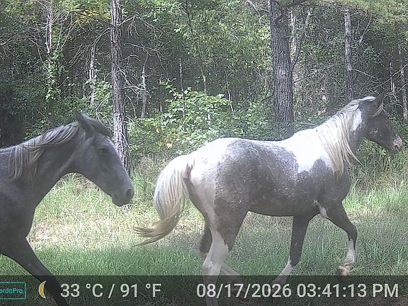 5th image of 000 County Road 522