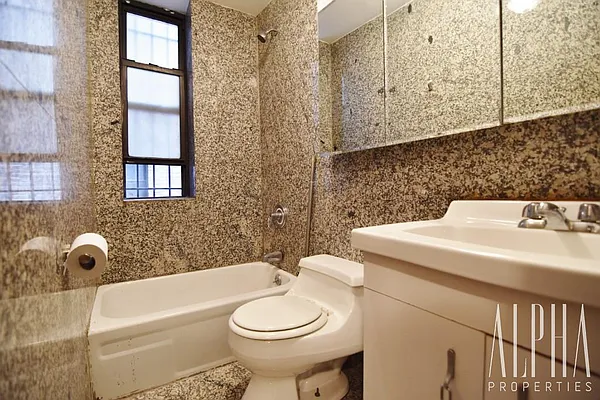 Rented by Alpha Properties NYC I LLC | media 25