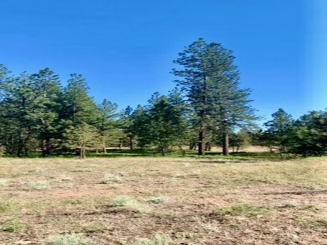 1st image of X W 904 Hwy #Sr-02066.9009