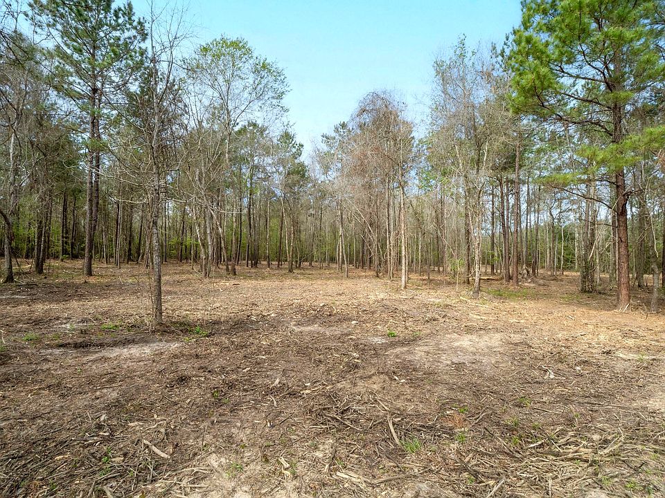 1st image of Jarrell Loop