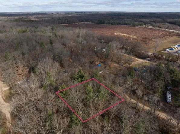 0 Saginaw Trl, Howard City, MI 49329