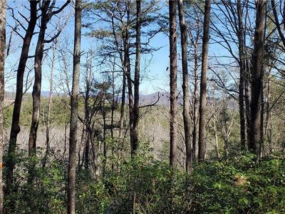 116 Sweetshrub Way, Sunset, SC, 29685