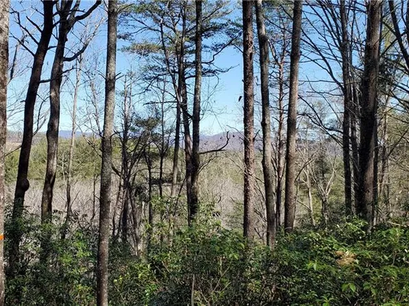 116 Sweetshrub Way, Sunset, SC 29685