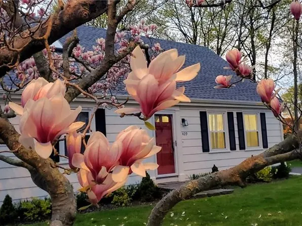 429 Forest Ave, Middletown, RI 02842